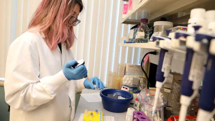 RFK Jr. mRNA funding cut: Who in NY is working on mRNA research?
