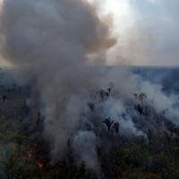 Brazil records 65 percent drop in Amazon area burned by fire