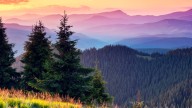 150 People Never Returned Home After Visiting America's Most Popular National Park