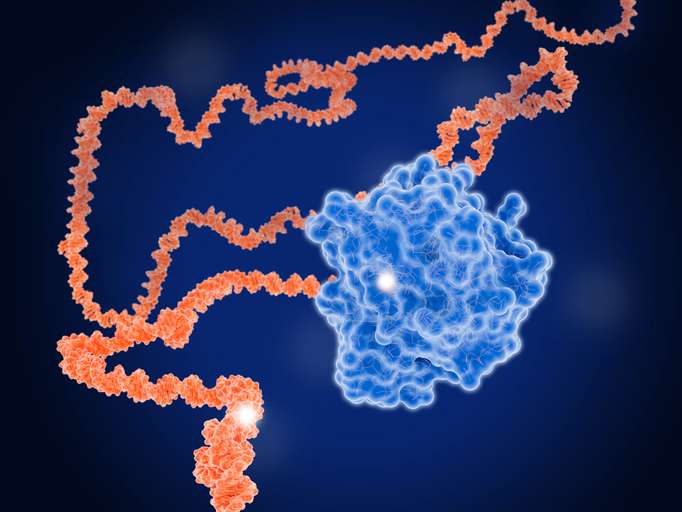 Vaccine Improves Survival in Pancreatic and Colorectal Cancers
