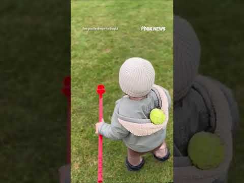 WATCH: Toddler, dog STUNNED during fetch after ball 'disappears' #shorts #foxnews #news #viral