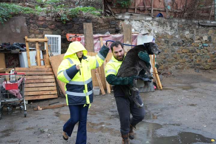 Coquimbo habilita albergues y patrullajes preventivos por lluvias y marejadas
