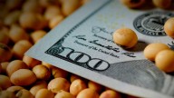 A contramano de Chicago e impulsada por el dólar, la soja subió en Rosario y alcanzó los $400 mil por tonelada