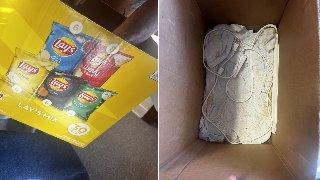Small Box On Sidewalk Stops Virginia Rescuers In Their Tracks—What’s Inside Leaves Them Stunned