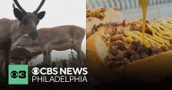 Reindeer cheesesteaks? Food truck in Sweden puts their spin on a Philly staple
