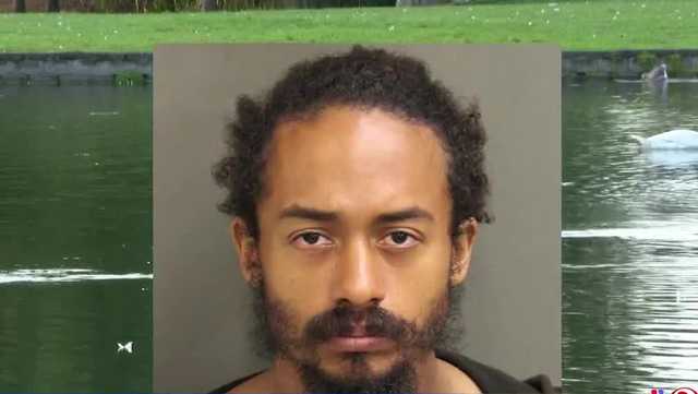 Arrest made after young Mute swan found dead at Lake Eola Park, officials say