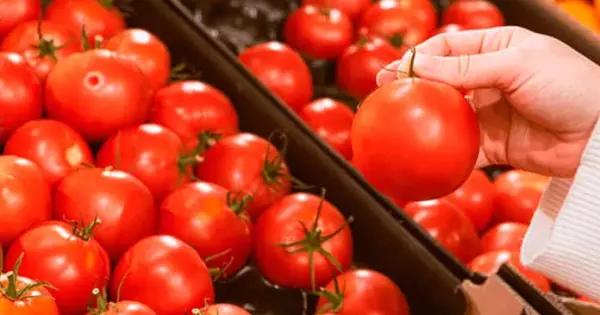 Productores de jitomate acuerdan fijar precios mínimos para exportación