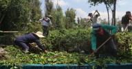 Plantea Clara Brugada plan para rescate de zona lacustre