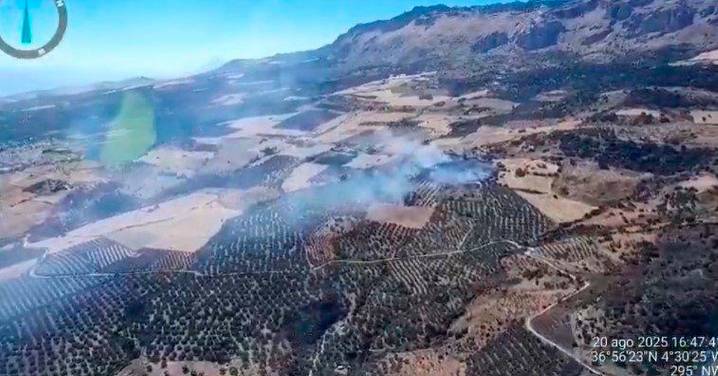Declarado un incendio forestal en Villanueva de la Concepción