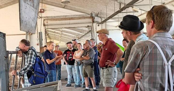 Beef Researchers Compare Forages in Feed Rations