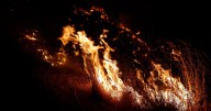 Situación alarmante: España y Portugal dominan la lista de hectáreas quemadas por incendios forestales