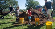 3 late-summer secret weapons in the garden: Proper watering, mulching and pest prevention