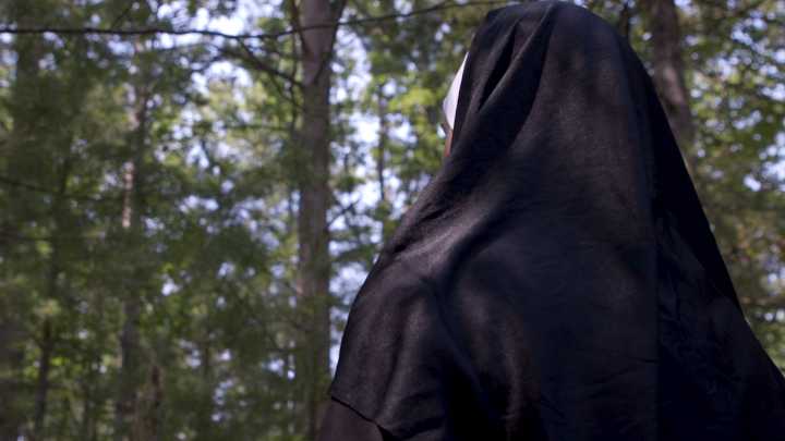 Veil of Secrets: The fate of a missing nun in rural Michigan
