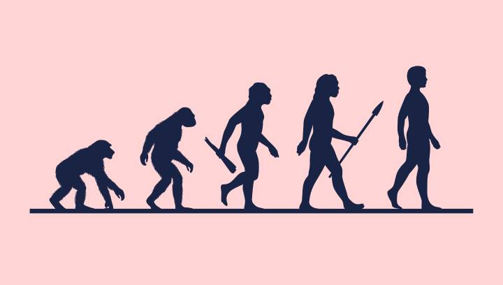 146,000-Year-Old Skull Upends Human Evolution's Story