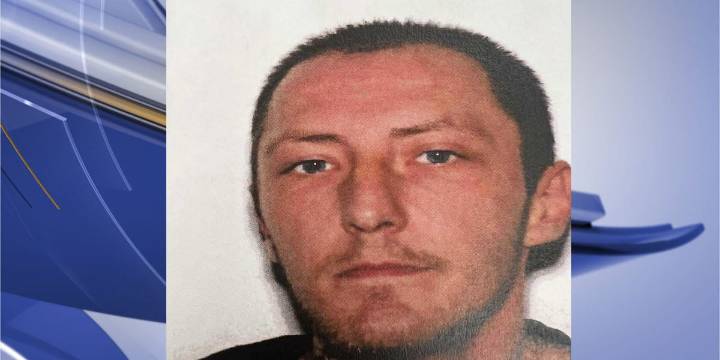 Man who stole police cruiser back in custody