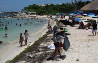Sargazo en Q Roo no ha impactado en turismo, asegura Sheinbaum