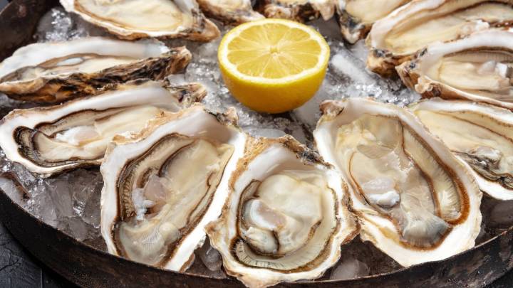 Mueren tras comer ostras crudas en Louisiana – Telemundo Washington DC (44)
