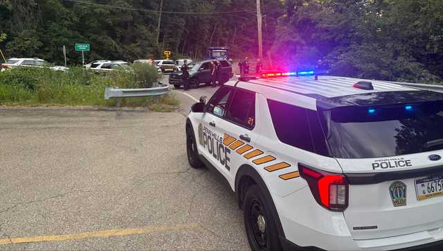 Suspect in custody after robbing Bloomfield Pizza Hut, leading police on chase through Penn Hills