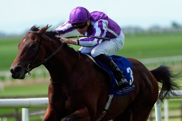 Aidan O’Brien’s Delacroix and Ombudsman poised to clash again in Juddmonte International at York