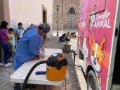 Bocas se suma a acciones institucionales municipales para el Bienestar Animal