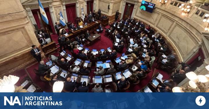 El Senado busca convertir en ley el financiamiento universitario y la emergencia en pediatría