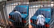 Video muestra el momento exacto en que un hombre es arrollado por su propio auto