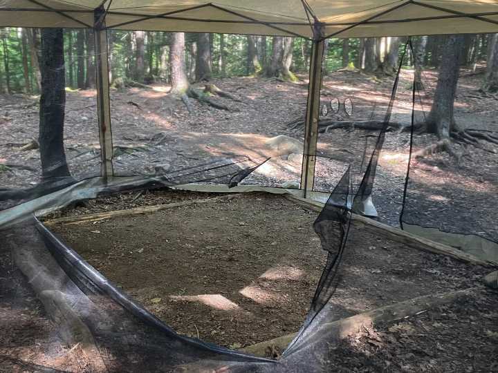 Popular NH tentsite closes thanks to 'food habituated black bear' activity