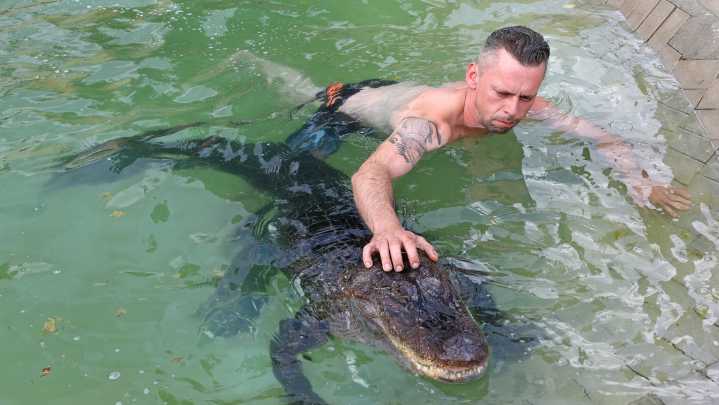 A Mississippi alligator, named "Mrs. Meyer," is German family's pet