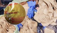 Vendedor ambulante vendía milanesas hechas con papel higiénico en Argentina