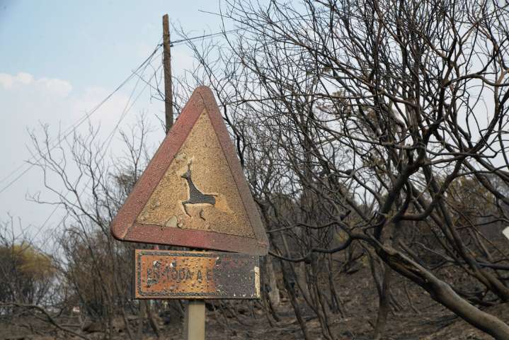 Los incendios sin control en Galicia se dispara hasta las 22.000 hectáreas arrasadas