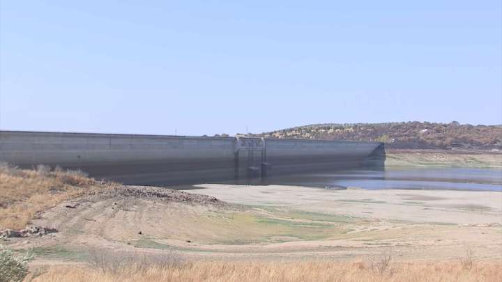 Vacían el embalse de Alcollarín para eliminar el Pez Chino, una especie invasora More