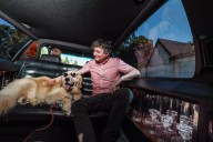 Inside the luxury world of dog wellness