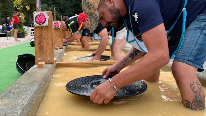 Todo sobre el campeonato mundial de bateo de oro en Navelgas (Asturias)