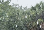 LIVE RADAR: Storms impacting parts of Central Florida
