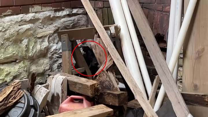 Dog Struggling To Survive In A Pile Of Trash In Missouri Home Has The Biggest Smile After Rescue