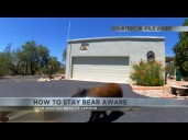 AZGFD warns residents to secure attractants after bear sighting