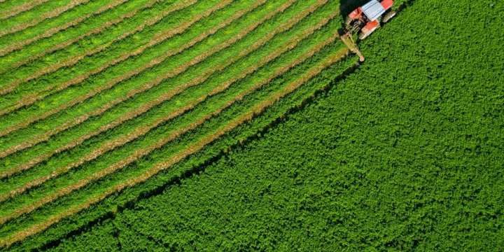 La logística como un factor clave para que Argentina impulse la producción de alfalfa premium