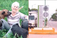 Buscan a una mujer de 61 años que no regresó a su casa en San Benito