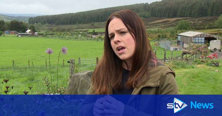 Deputy first minister Kate Forbes to stand down as MSP ahead of next year's Scottish Parliament elections
