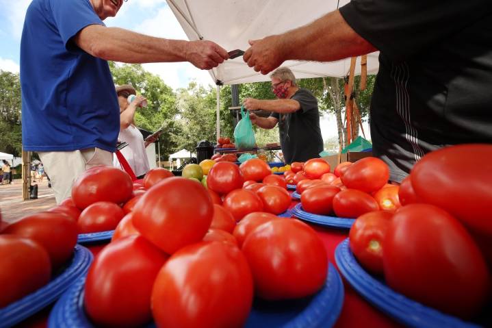 Orange County things to do, starting Aug. 8