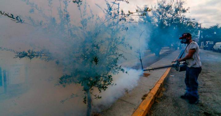 Se acumulan más de 6 mil casos de dengue en el país