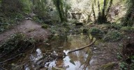 La Policía Local de Córdoba rescata a seis jóvenes perdidos en el entorno de los Baños de Popea