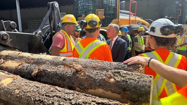 U.S. increases duties on Canadian softwood lumber, bringing total to more than 35 per cent