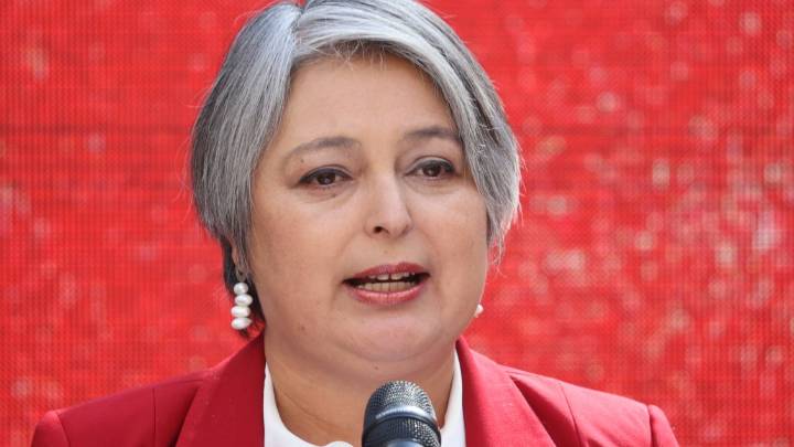 Senador socialista puso en duda el plan de salud de Jara