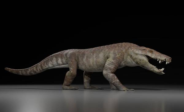 Hallan un sorprendente ancestro de los cocodrilos de hace 70 millones de años