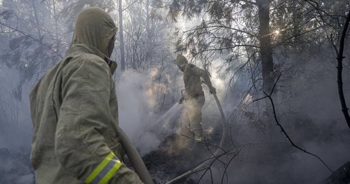 Wildfires burn across Europe as countries including Spain and Turkey hit 40C