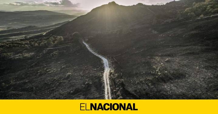 La ola de incendios en España llega a su fin: Protección Civil desactiva la emergencia