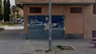 Atacan la sede del PP en Huesca con pintadas, huevos y dos pollos muertos