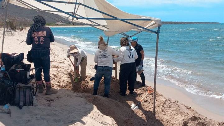Guaymas: INAH intervendrá en playa de San Carlos tras el hallazgo de restos óseos