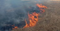 Nuevo incendio forestal en Gallegos de Argañán que moviliza una decenas de medios